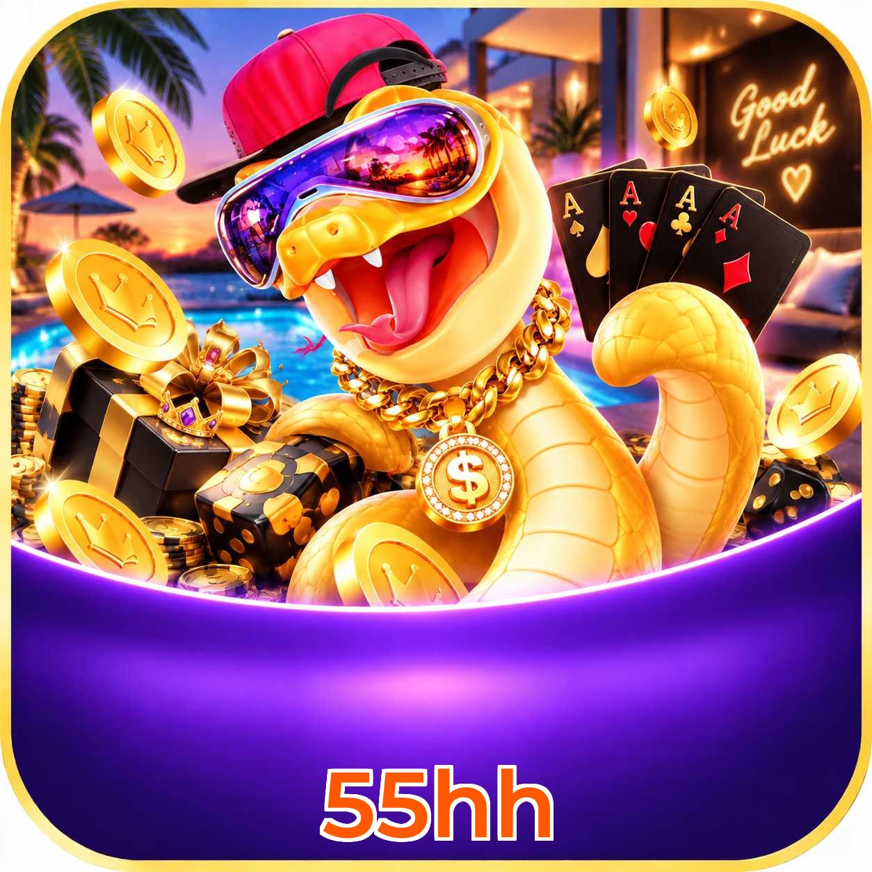 55hh